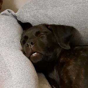 Meet your Posher, Caleb